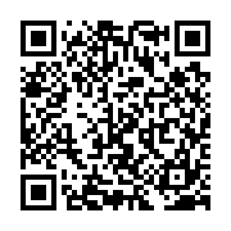 QR code for TI3737