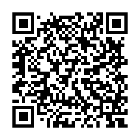QR code for TI3884