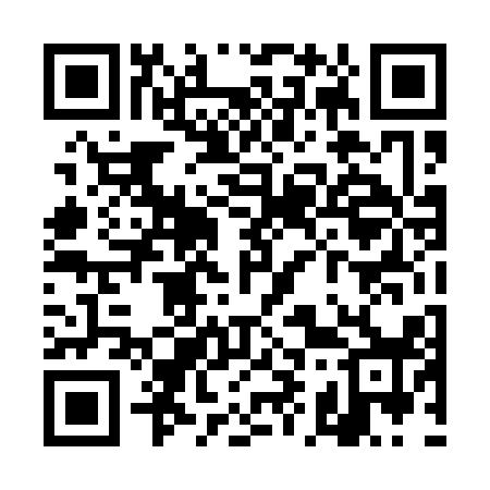 QR code for TI4118