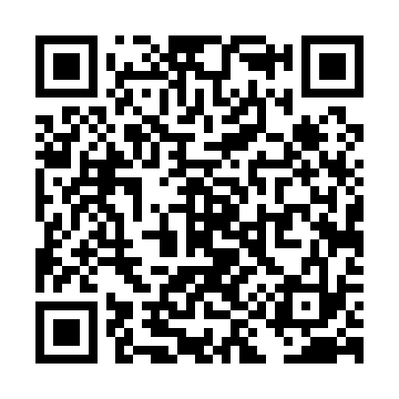 QR code for TI4133