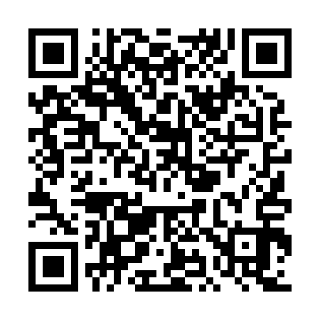 QR code for TI4813