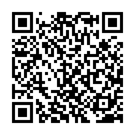 QR code for TI4911