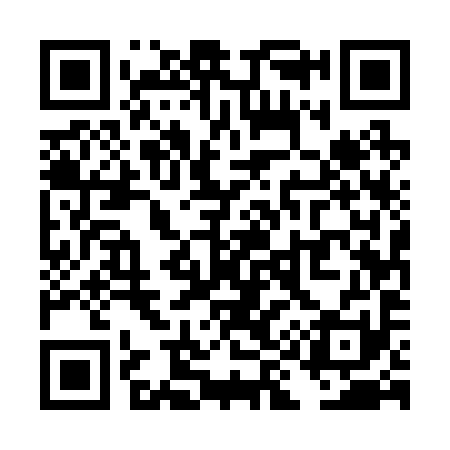 QR code for TI5291