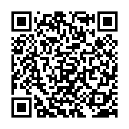 QR code for TI6079