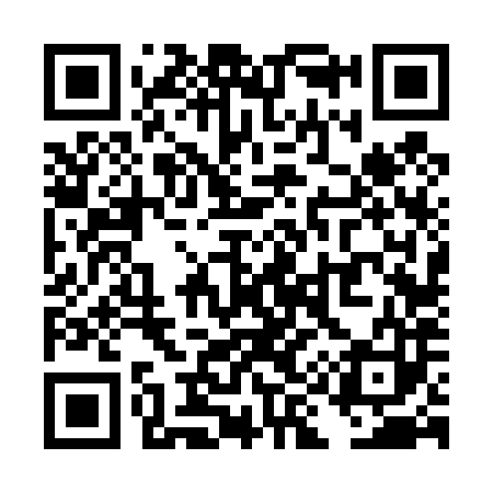 QR code for TI6483
