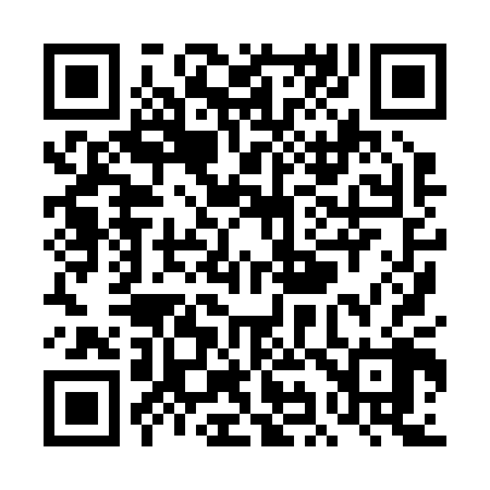 QR code for TI8208