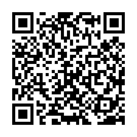 QR code for TI8438