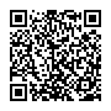 QR code for TI8565