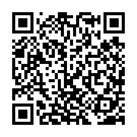 QR code for TI8608