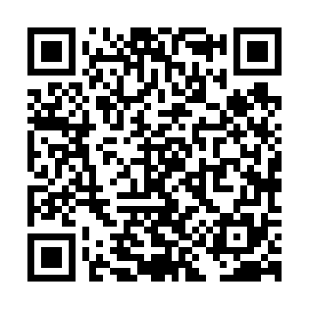 QR code for TI8675