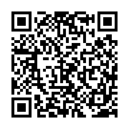 QR code for TI8717