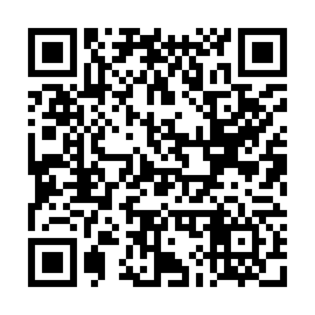 QR code for TI8966