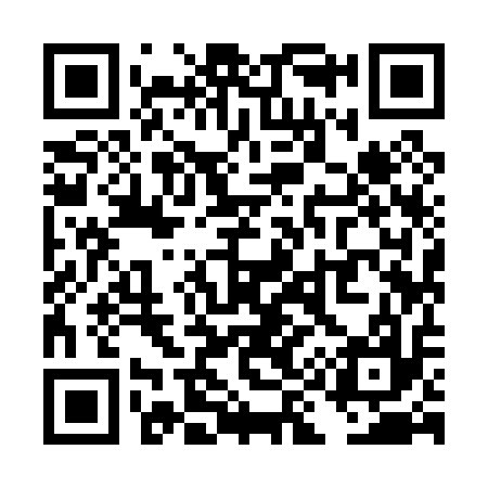 QR code for TI9017