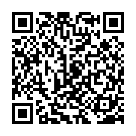 QR code for TI9171