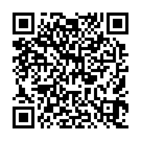 QR code for TI9341