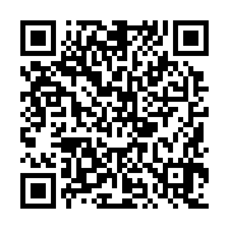 QR code for TI9387
