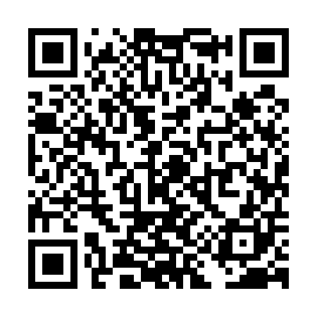 QR code for TI9500