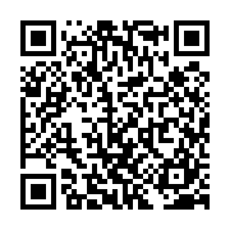 QR code for TI9527