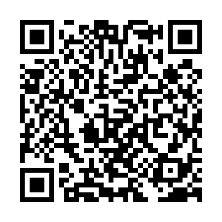 QR code for TI9538