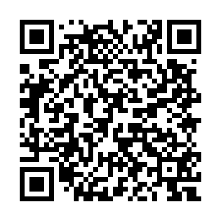 QR code for TI9551
