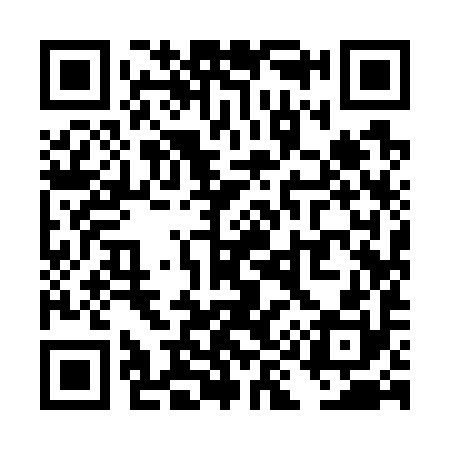 QR code for TI9790