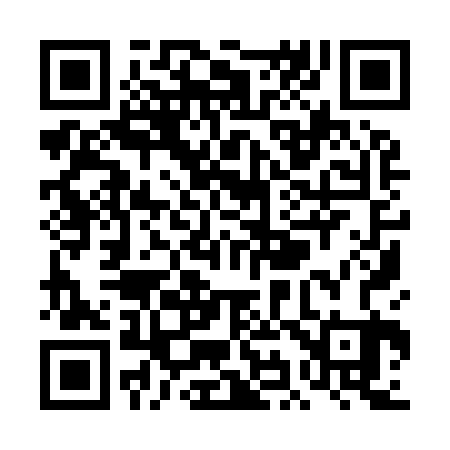 QR code for TI9923