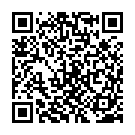 QR code for TI9961