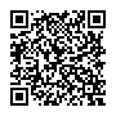 QR code for TI9965