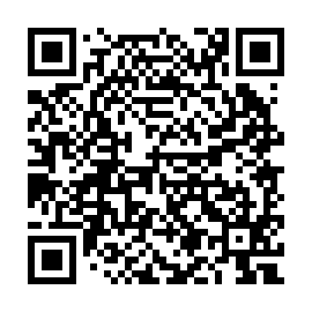 QR code for TM0295