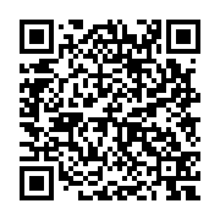 QR code for TN0133