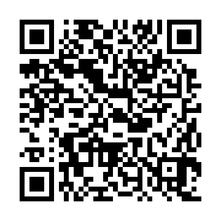 QR code for TN2382