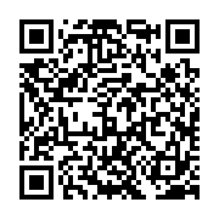 QR code for TO2333