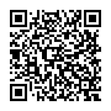 QR code for TO3996