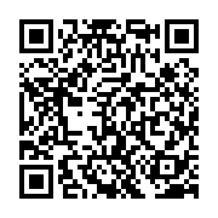 QR code for TO9138
