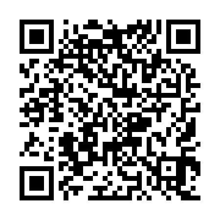 QR code for TO9911