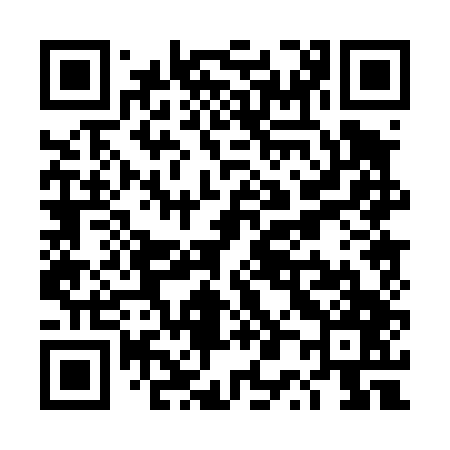 QR code for TP0447
