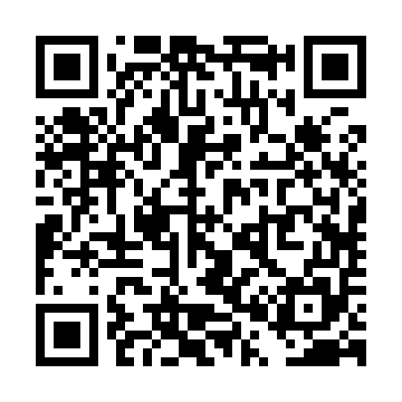 QR code for TP2955