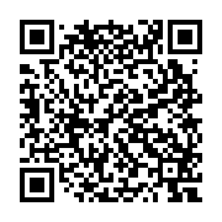 QR code for TP3383