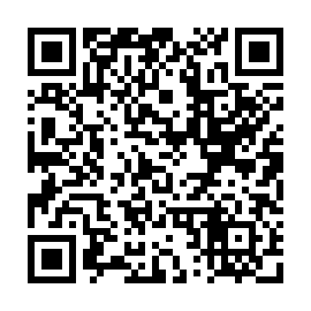 QR code for TR0382