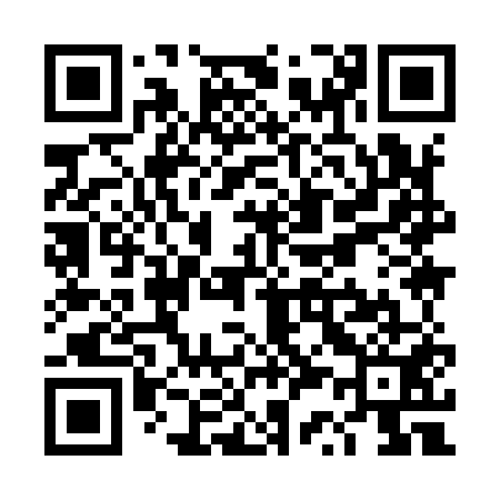QR code for TS9951