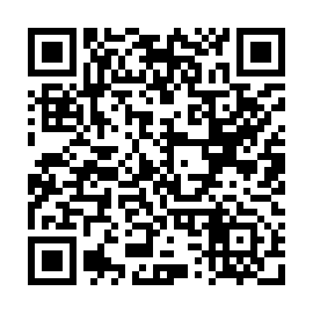 QR code for TS9953