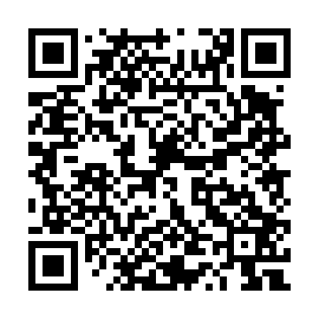 QR code for TT0403