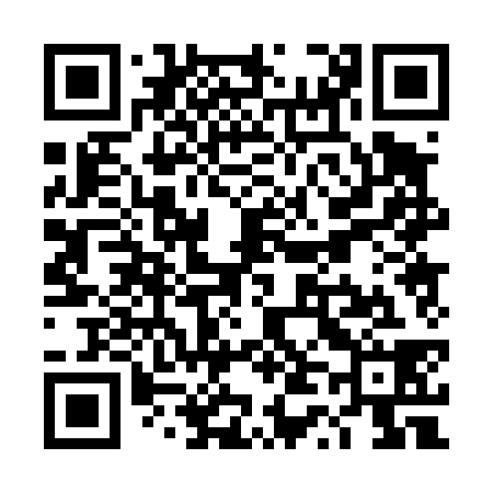 QR code for TT0438