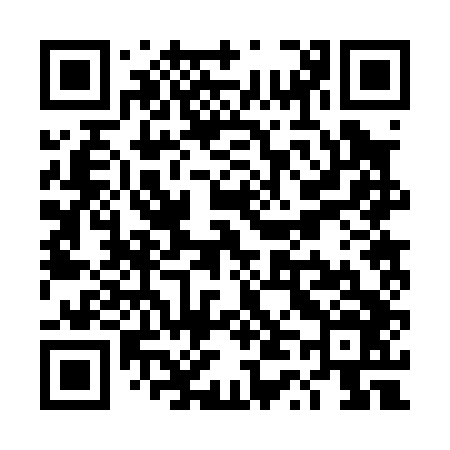 QR code for TT2046