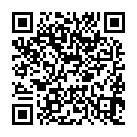 QR code for TT6991
