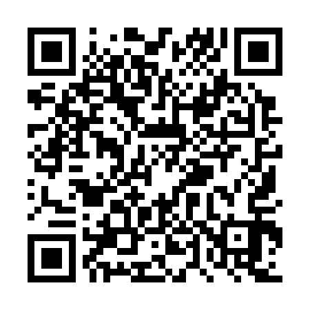 QR code for TT9313