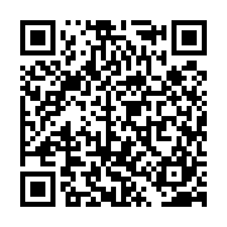 QR code for TT9527