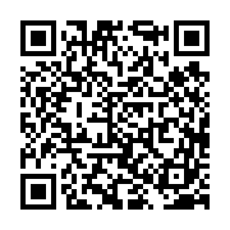 QR code for TX0663