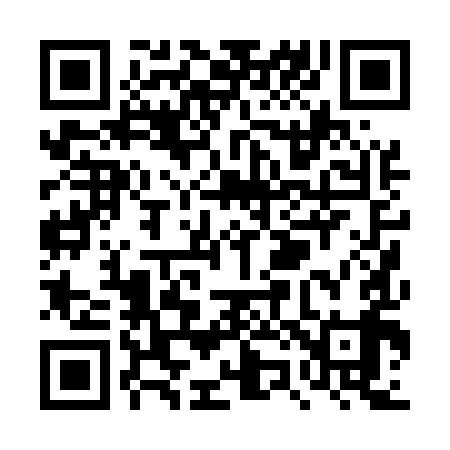 QR code for TZ0599