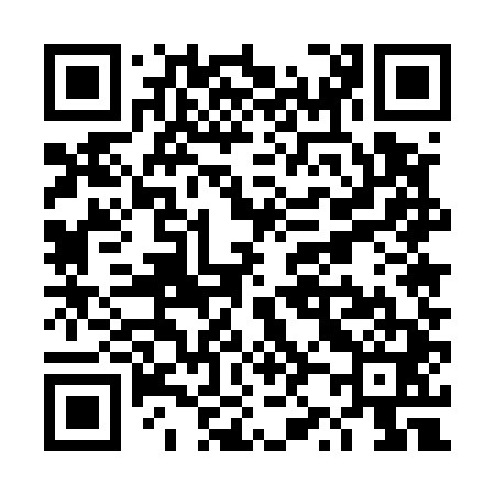 QR code for TZ5541